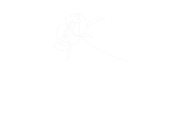LaurenceVartiste